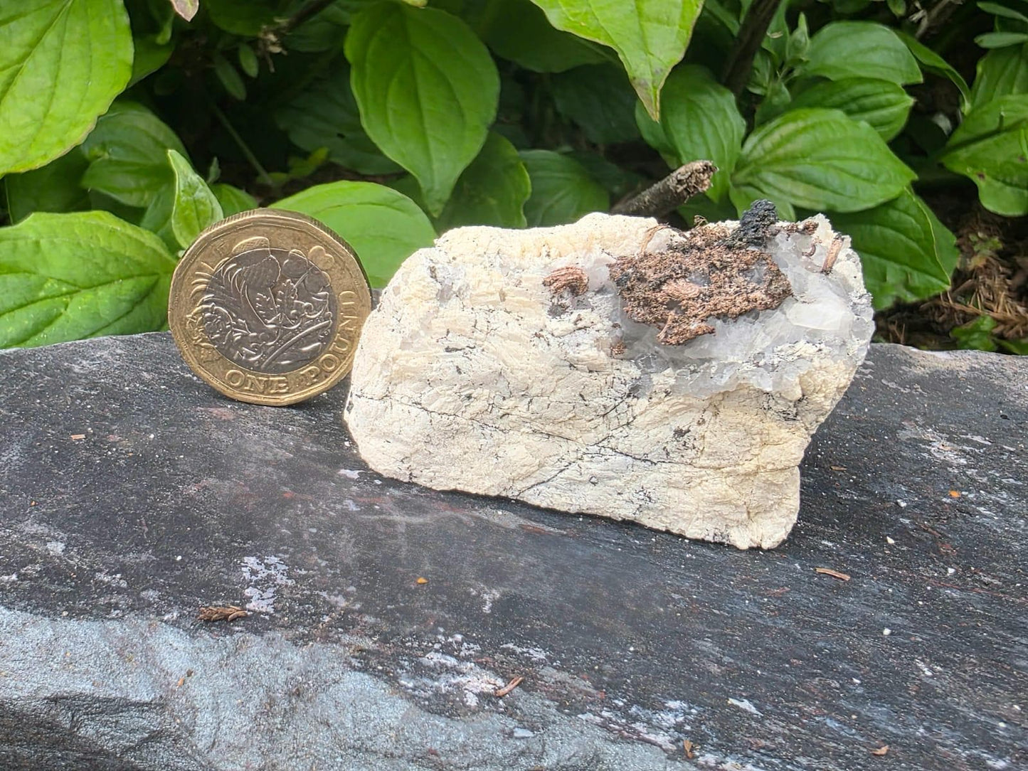 Natural Native Wire Silver on Calcite | Collectors Mineral Specimen #5
