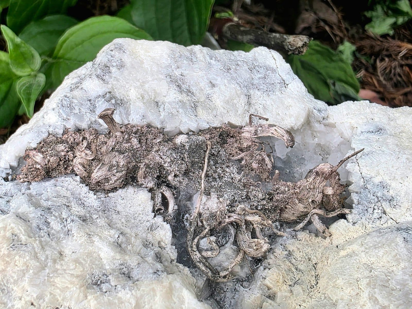 Natural Native Wire Silver in Calcite Cavity | Collectors Mineral Specimen #4