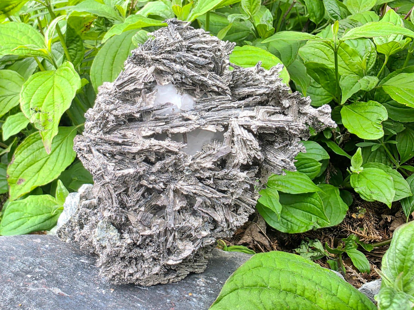 Large Crystallised Native Silver on Calcite Matrix | Skeletal Growth | Collectors Grade  Mineral Specimen #6