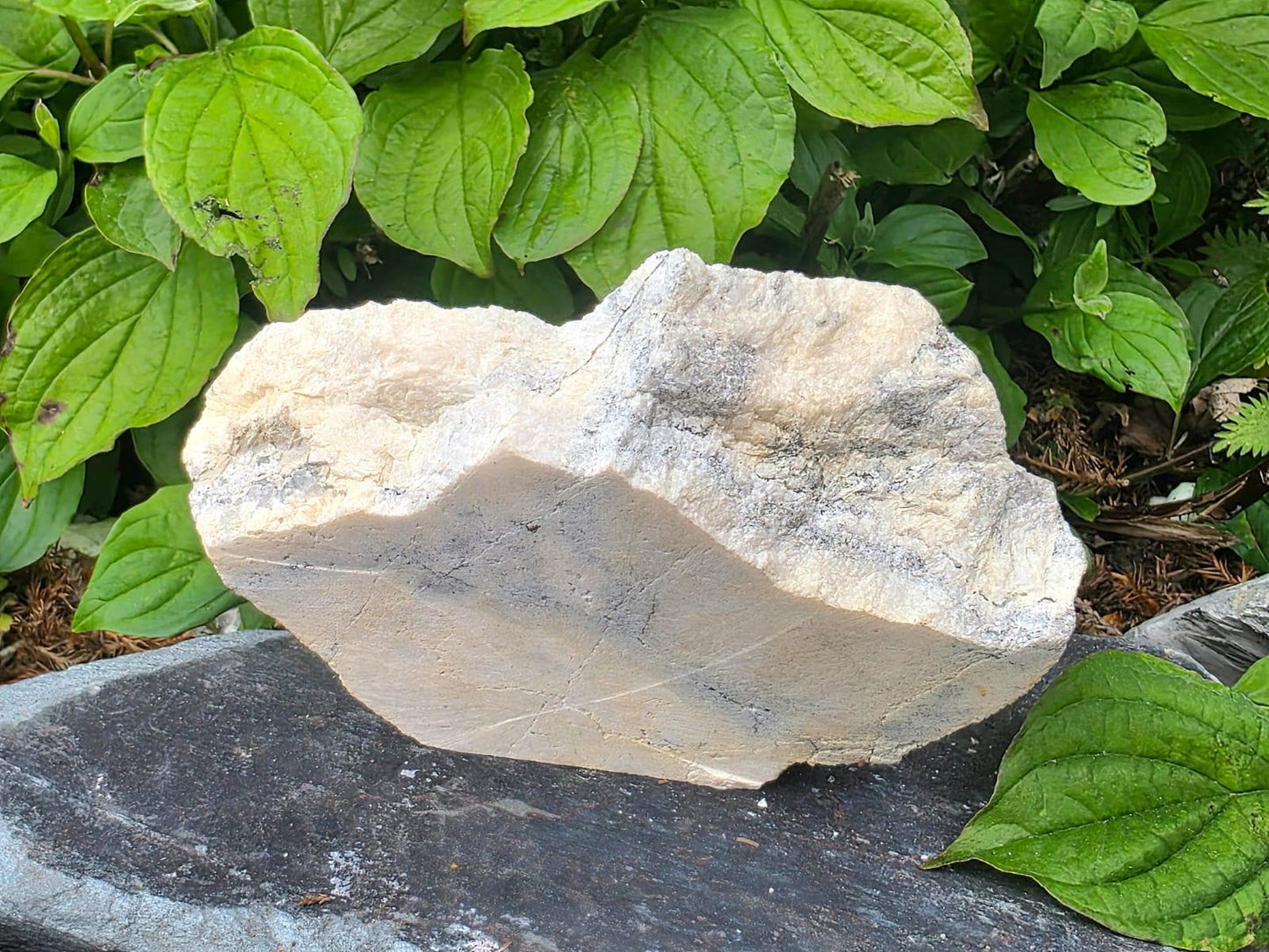 Natural Native Wire Silver in Calcite Cavity | Collectors Mineral Specimen #4