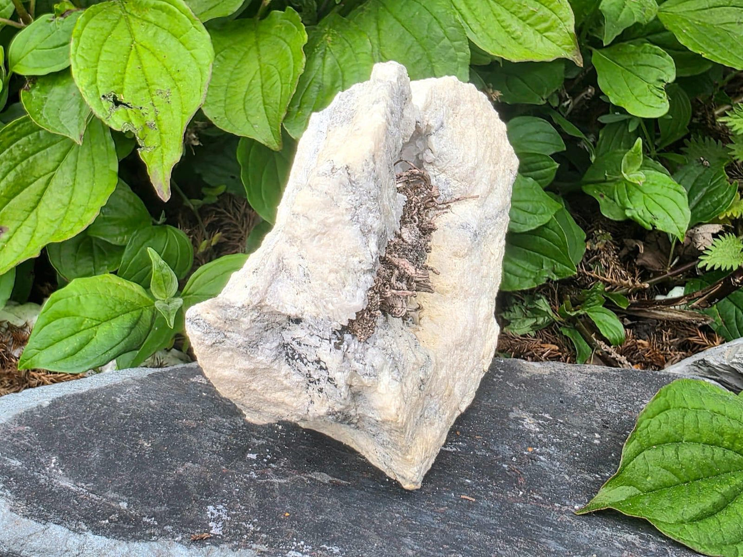 Natural Native Wire Silver in Calcite Cavity | Collectors Mineral Specimen #4