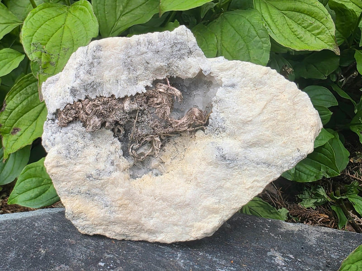 Natural Native Wire Silver in Calcite Cavity | Collectors Mineral Specimen #4