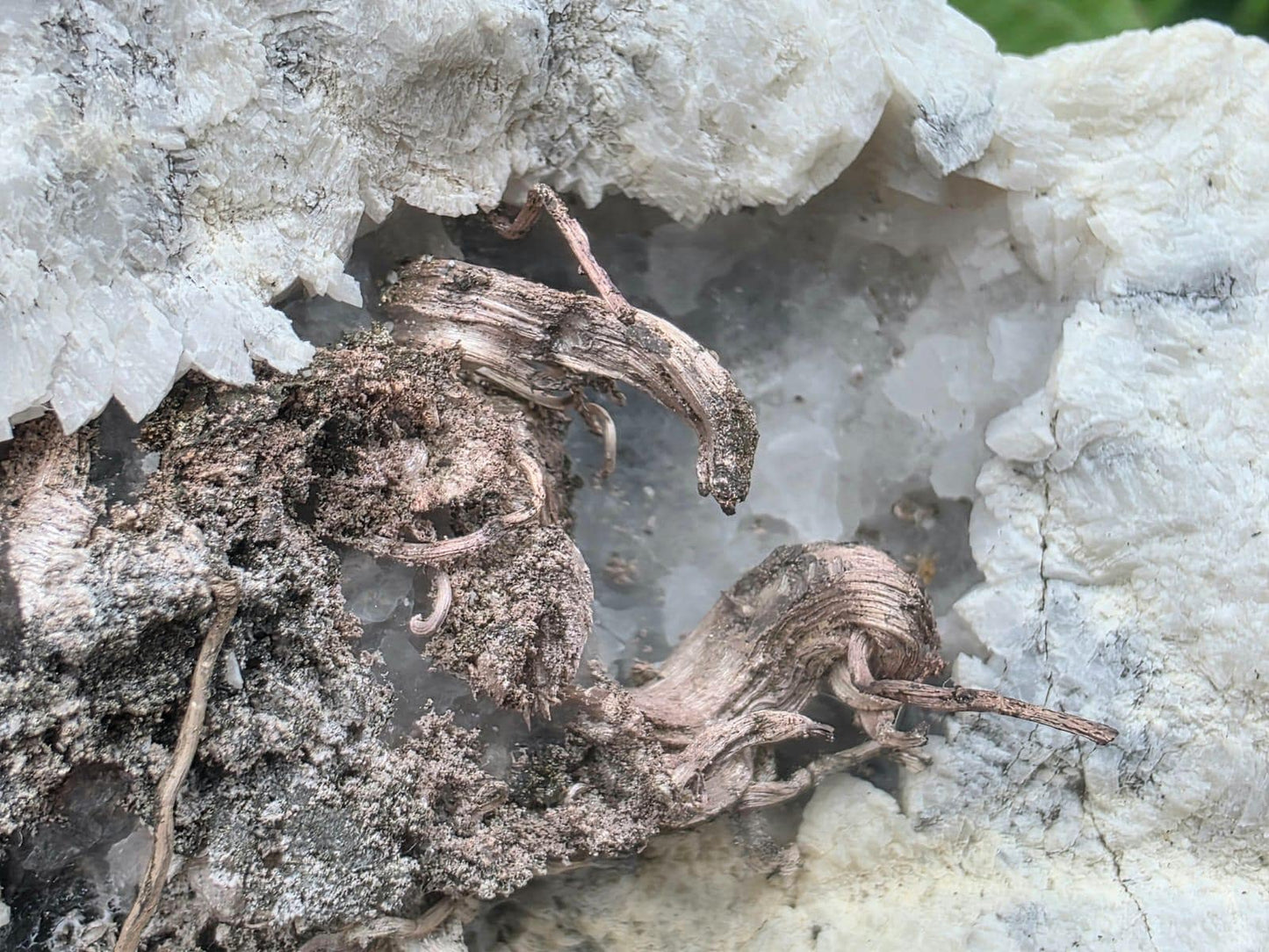 Natural Native Wire Silver in Calcite Cavity | Collectors Mineral Specimen #4