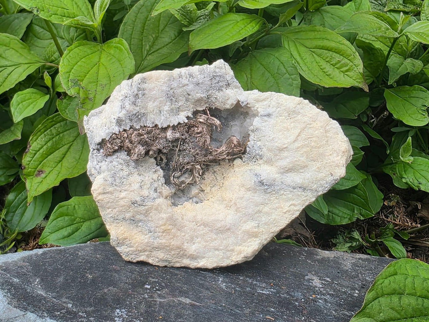 Natural Native Wire Silver in Calcite Cavity | Collectors Mineral Specimen #4