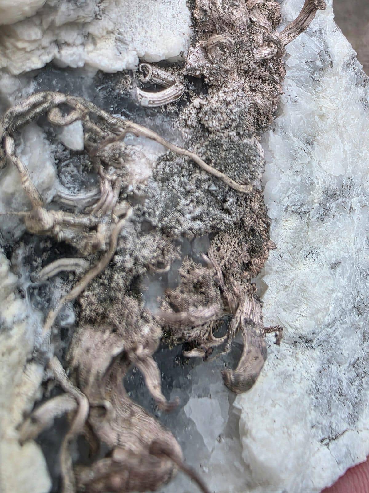 Natural Native Wire Silver in Calcite Cavity | Collectors Mineral Specimen #4