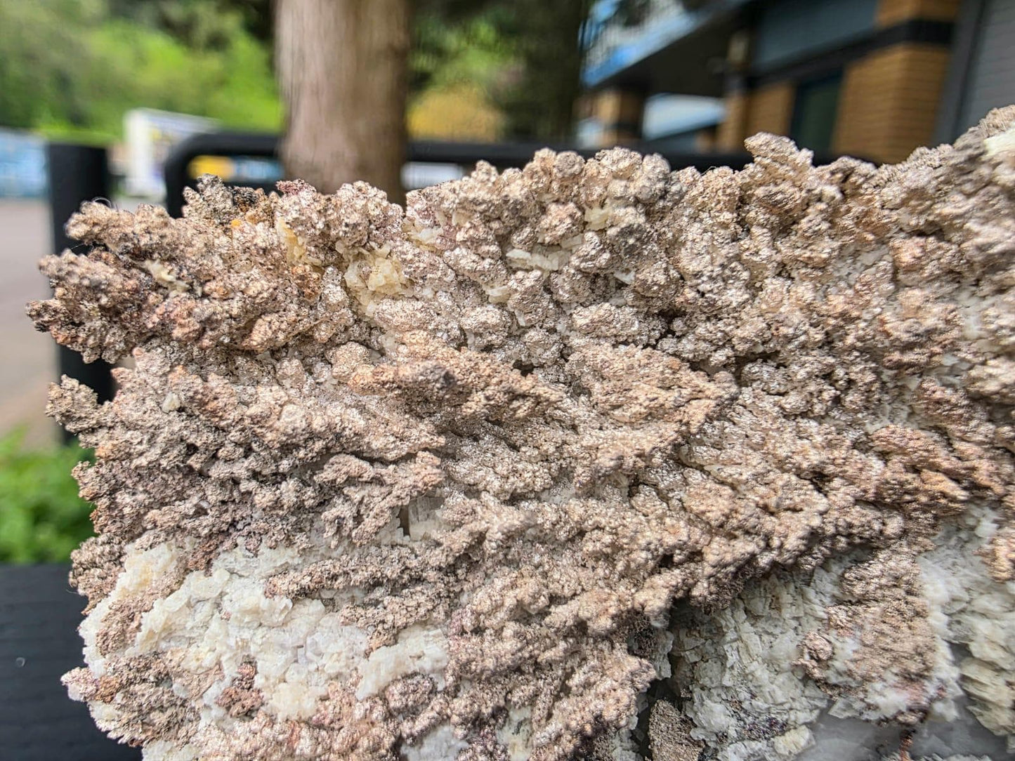 Large Natural Native Silver Crystal On Calcite | Collectors Mineral Specimen #3