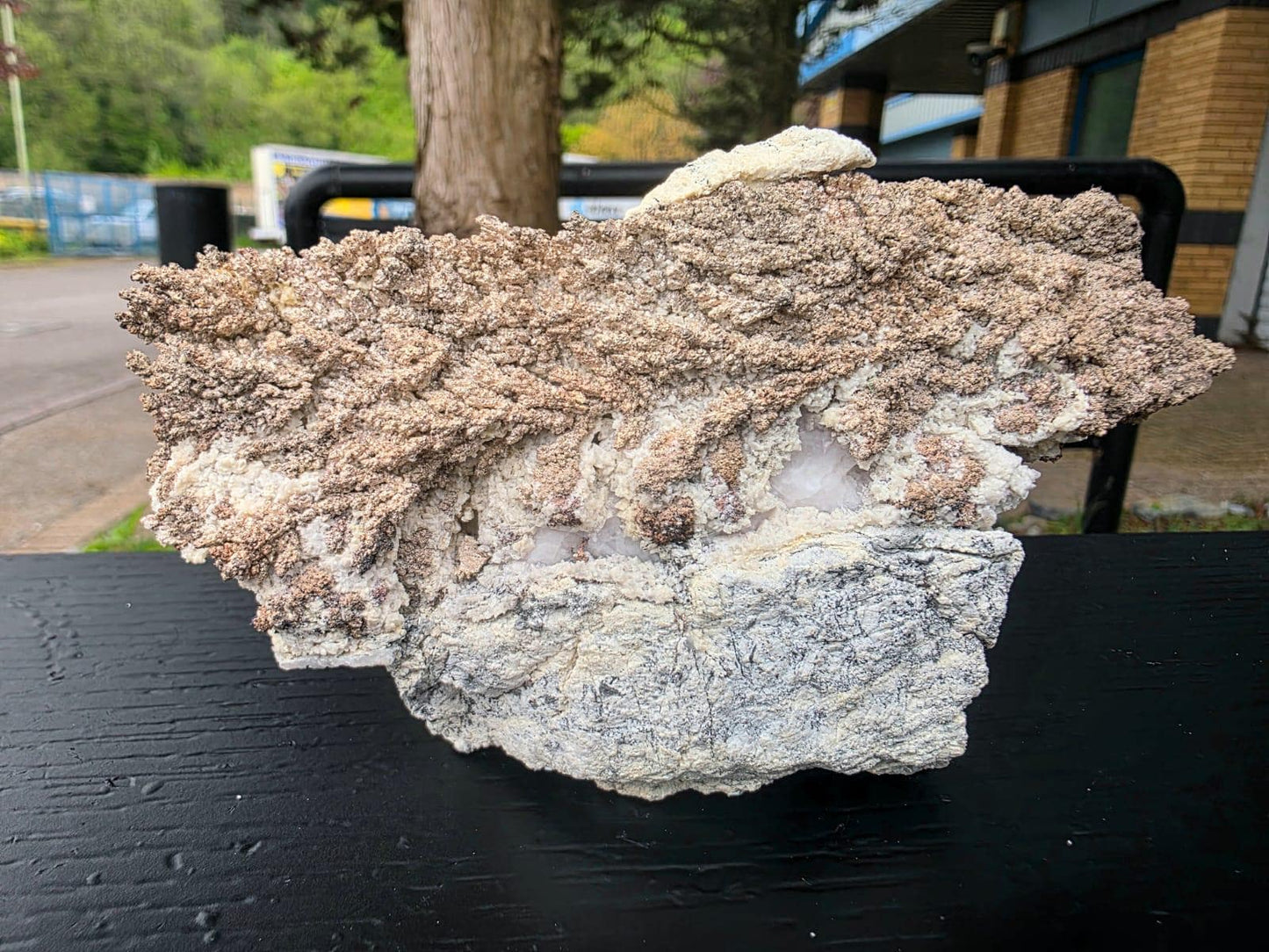 Large Natural Native Silver Crystal On Calcite | Collectors Mineral Specimen #3