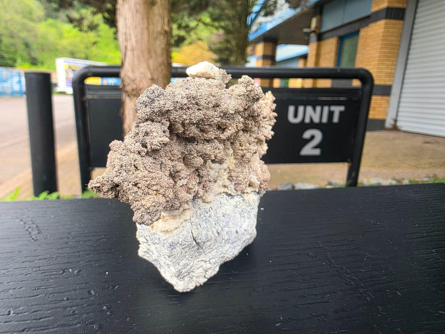 Large Natural Native Silver Crystal On Calcite | Collectors Mineral Specimen #3