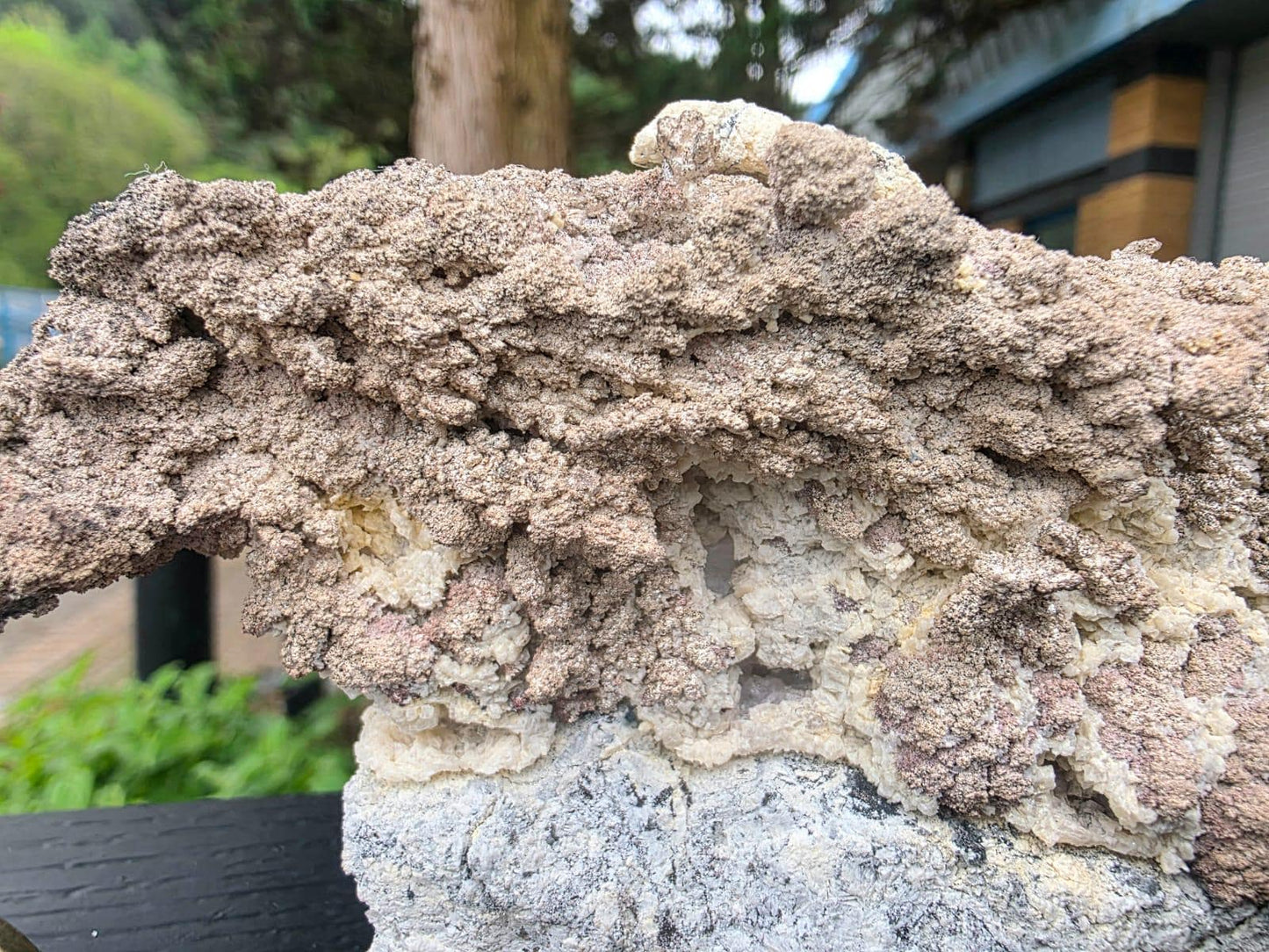 Large Natural Native Silver Crystal On Calcite | Collectors Mineral Specimen #3