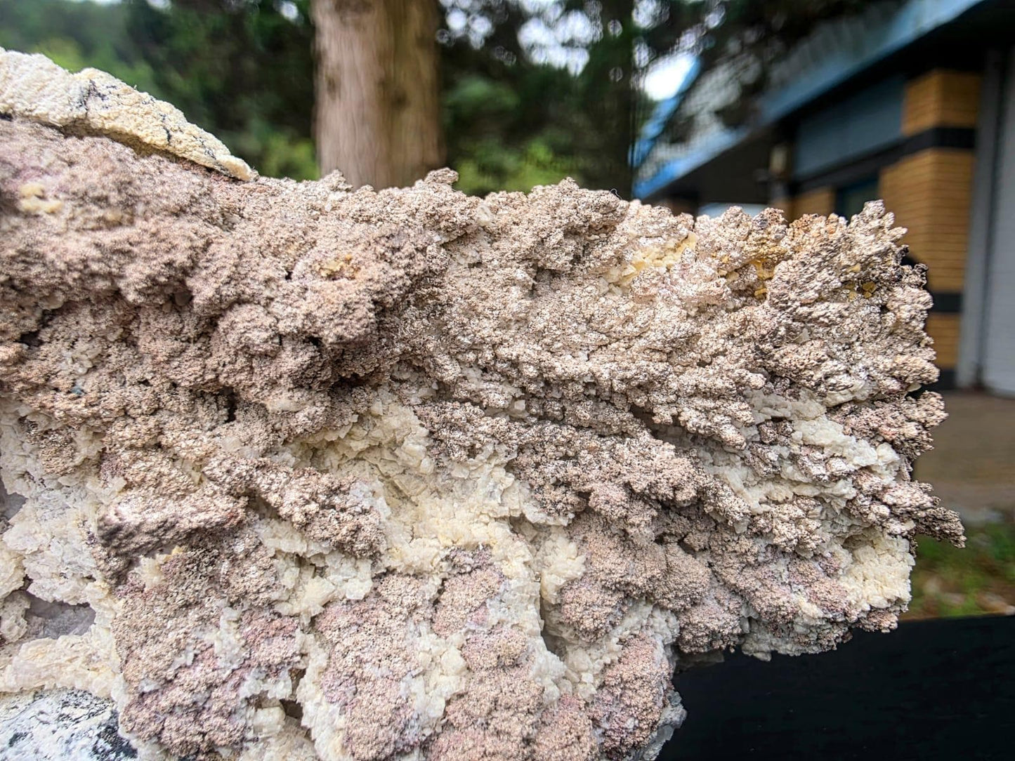 Large Natural Native Silver Crystal On Calcite | Collectors Mineral Specimen #3