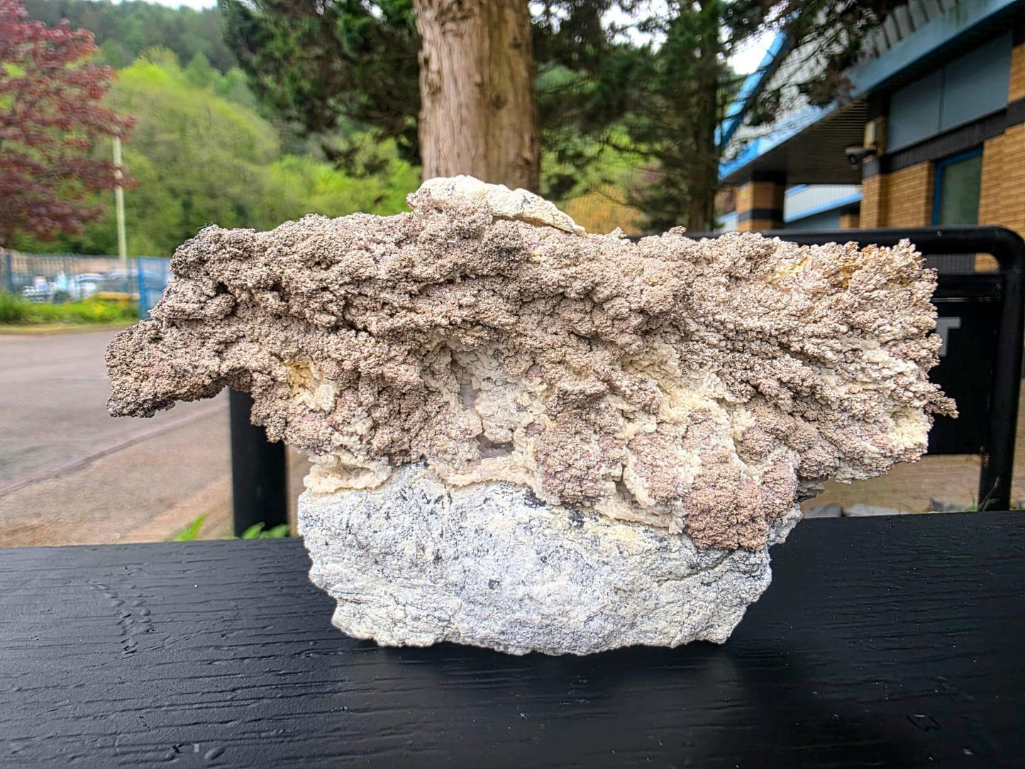 Large Natural Native Silver Crystal On Calcite | Collectors Mineral Specimen #3
