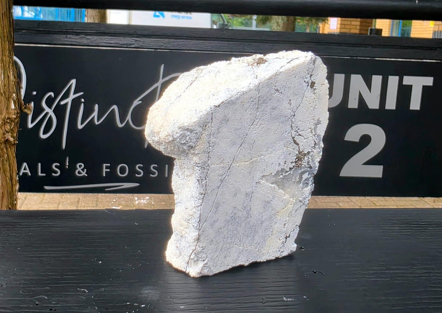 Natural Native Silver Crystal On Calcite | Collectors Mineral Specimen #2