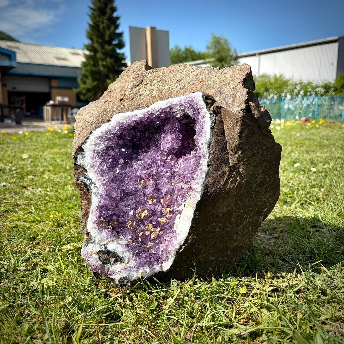 Large Amethyst Crystal Geode Freestanding (18.5kg)