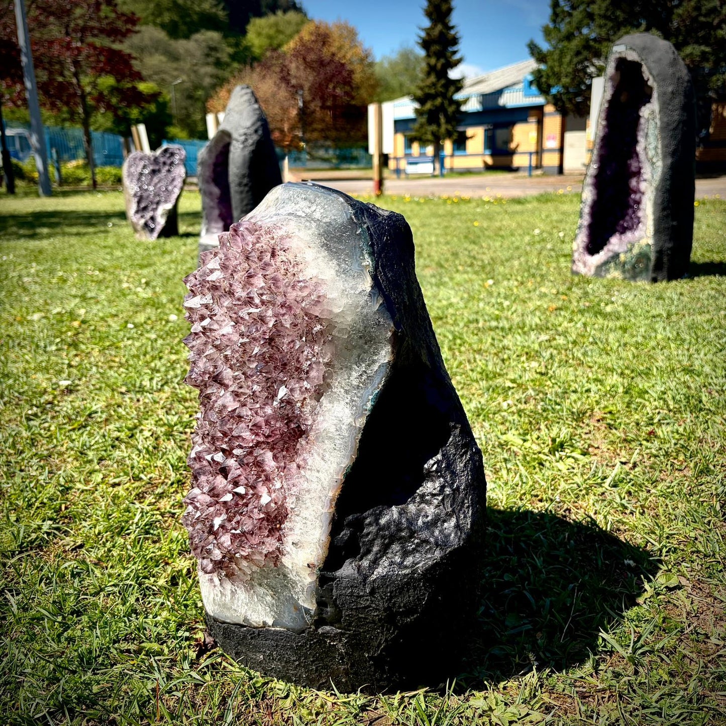 Extra Large Amethyst Crystal Freestanding (31.1kg)
