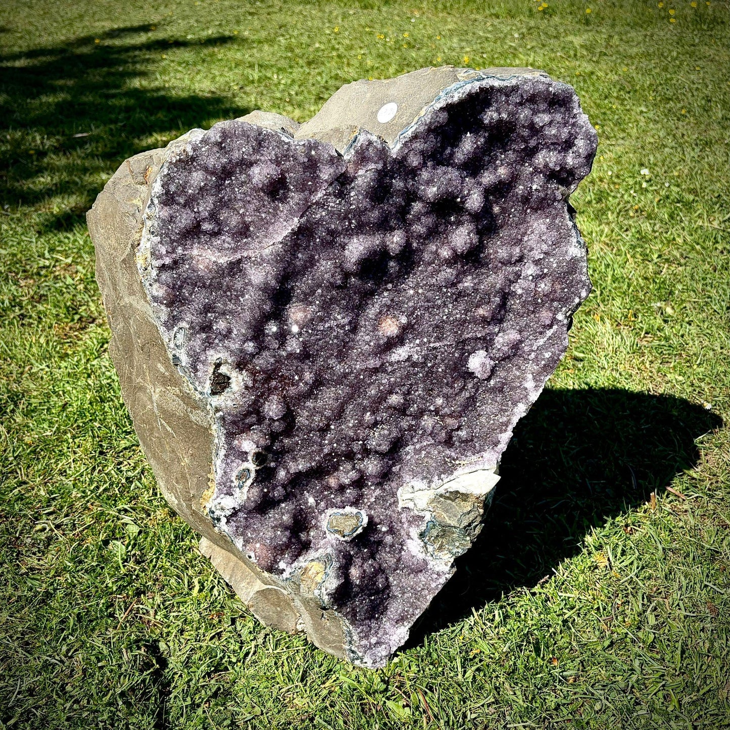 Extra Large Amethyst Crystal | Natural Basalt Back  (63.2kg)