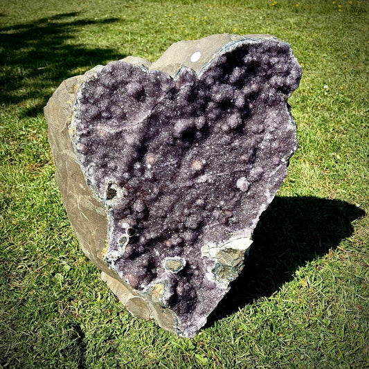 Extra Large Amethyst Crystal | Natural Basalt Back  (63.2kg)