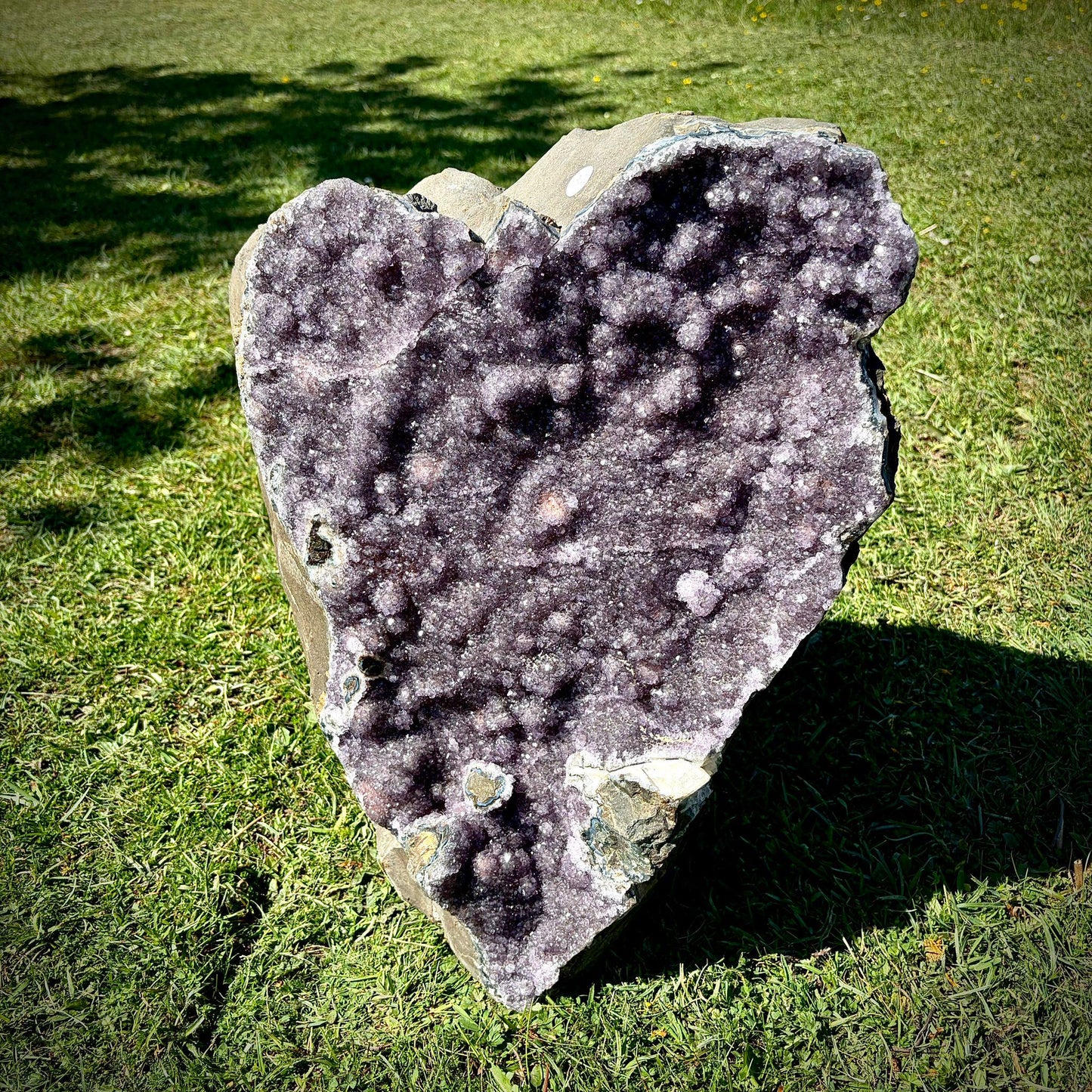 Extra Large Amethyst Crystal | Natural Basalt Back  (63.2kg)
