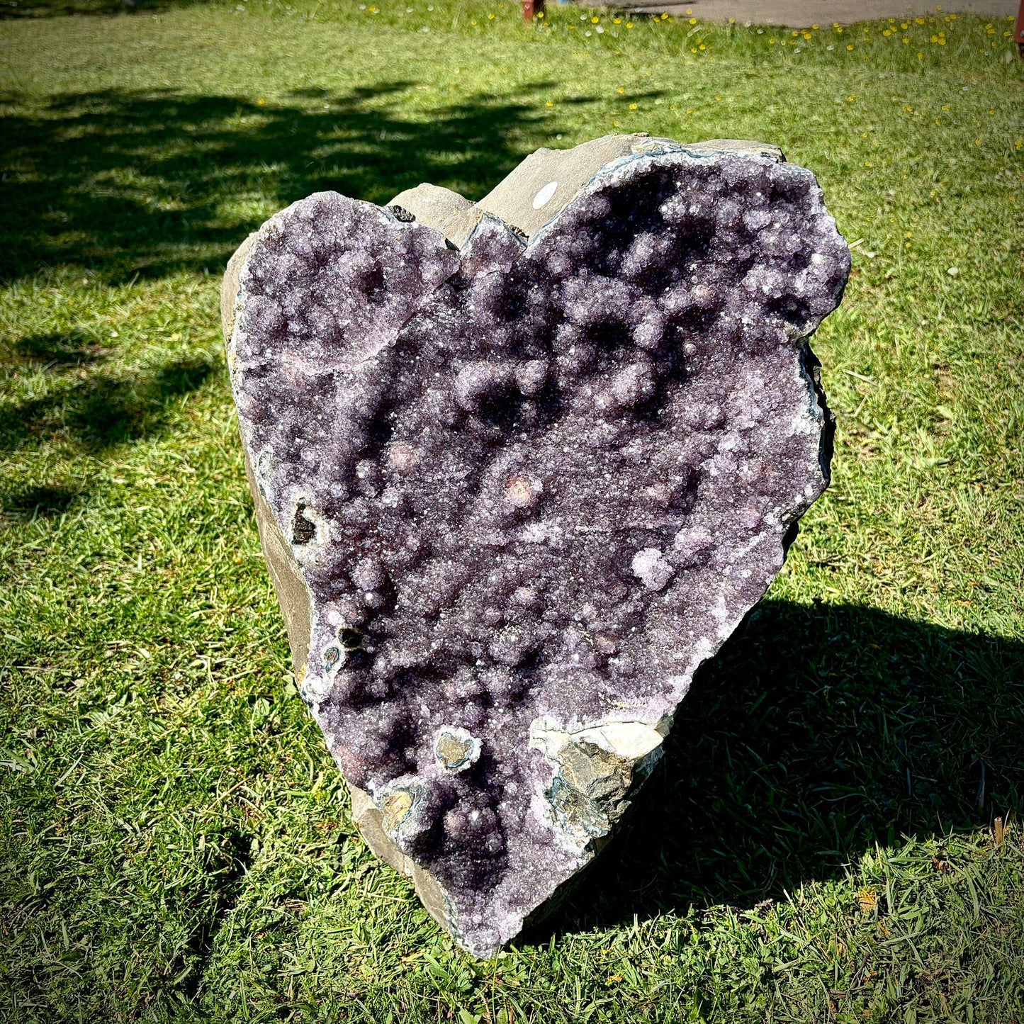 Extra Large Amethyst Crystal | Natural Basalt Back  (63.2kg)