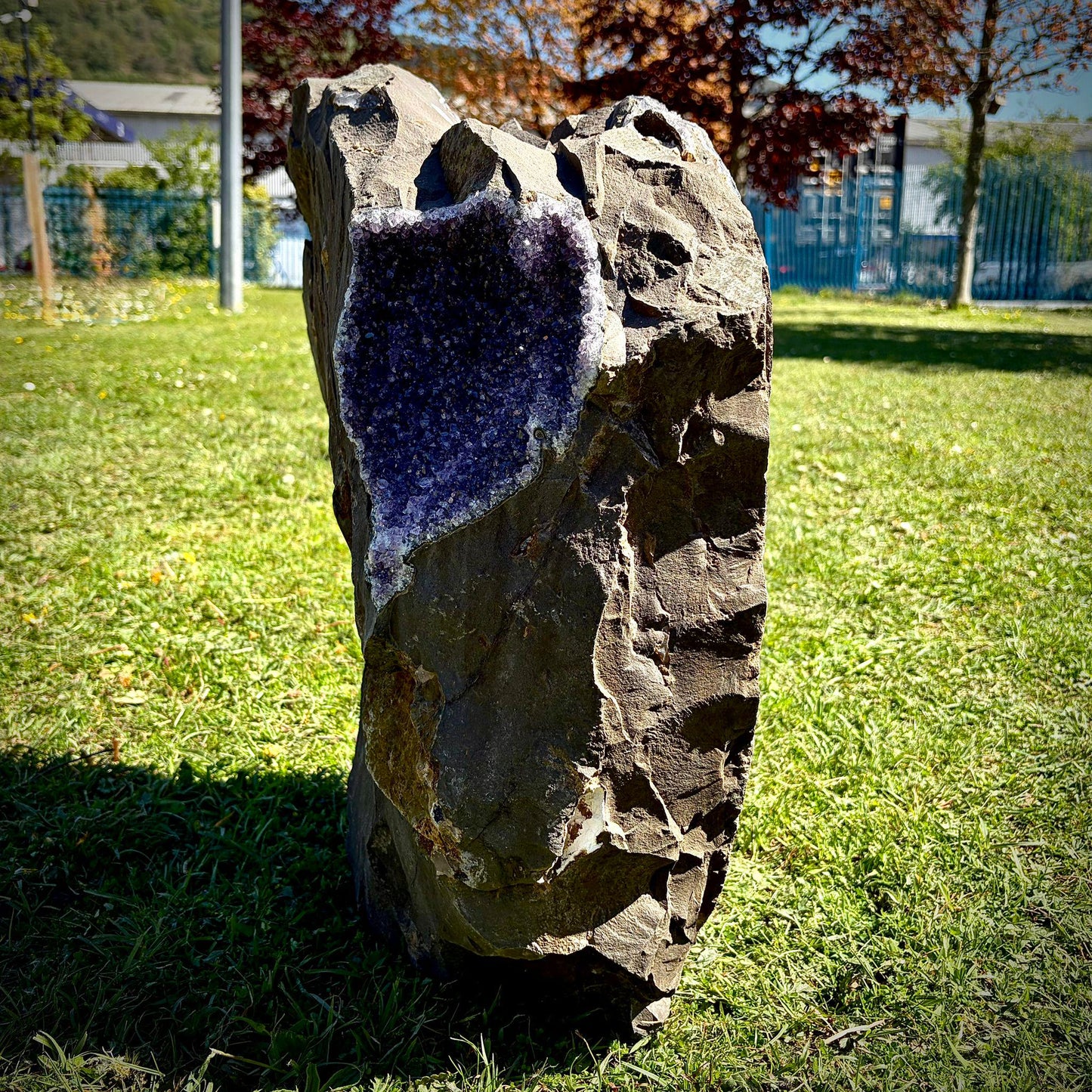 Extra Large Amethyst Crystal | Natural Basalt Back  (63.2kg)