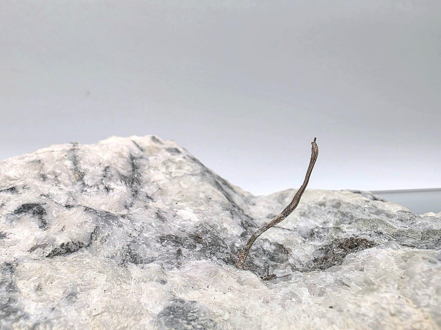 Native Silver on Calcite Matrix Mineral Specimen | Collector Crystal Display
