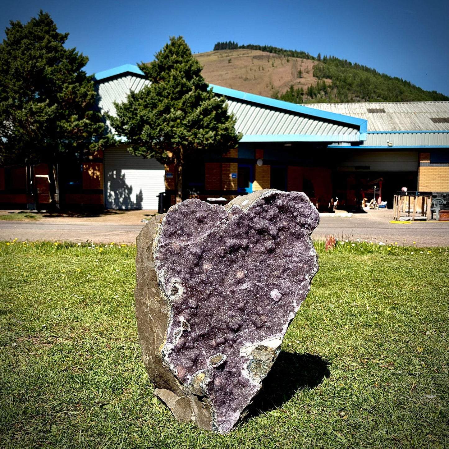 Extra Large Amethyst Crystal | Natural Basalt Back  (63.2kg)