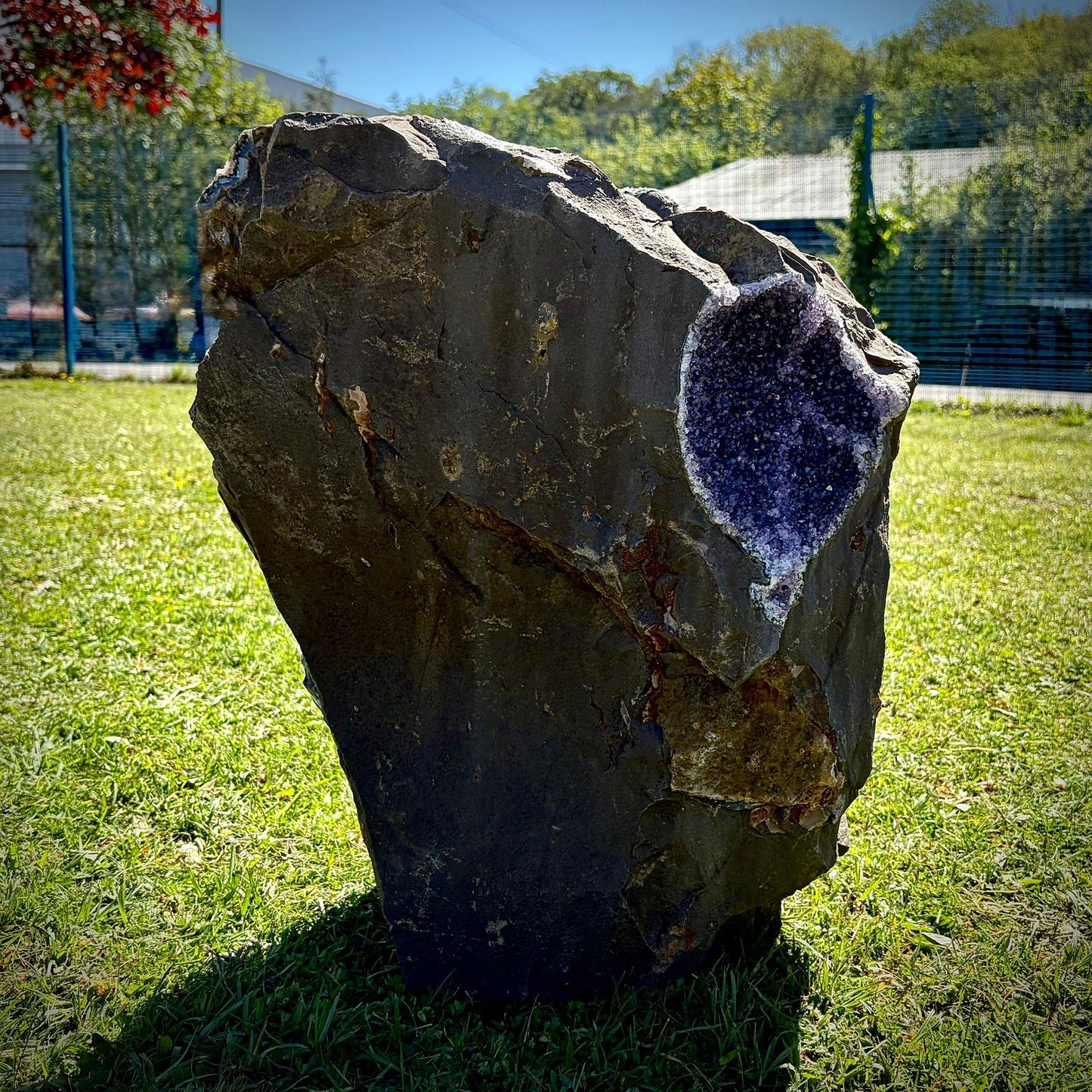Extra Large Amethyst Crystal | Natural Basalt Back  (63.2kg)