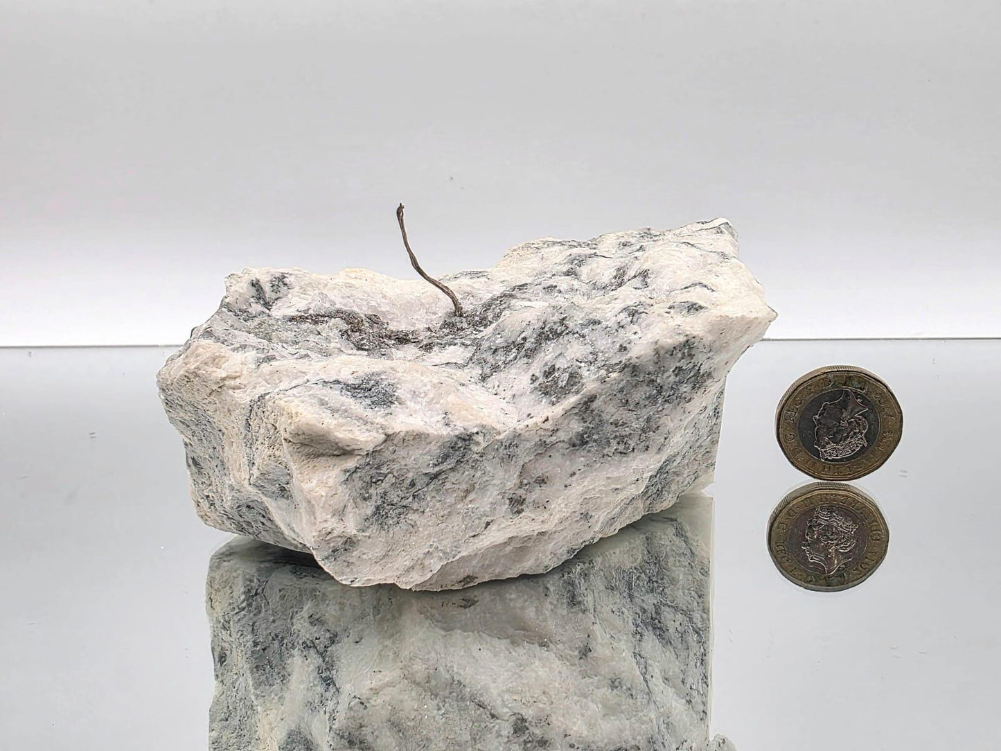 Native Silver on Calcite Matrix Mineral Specimen | Collector Crystal Display