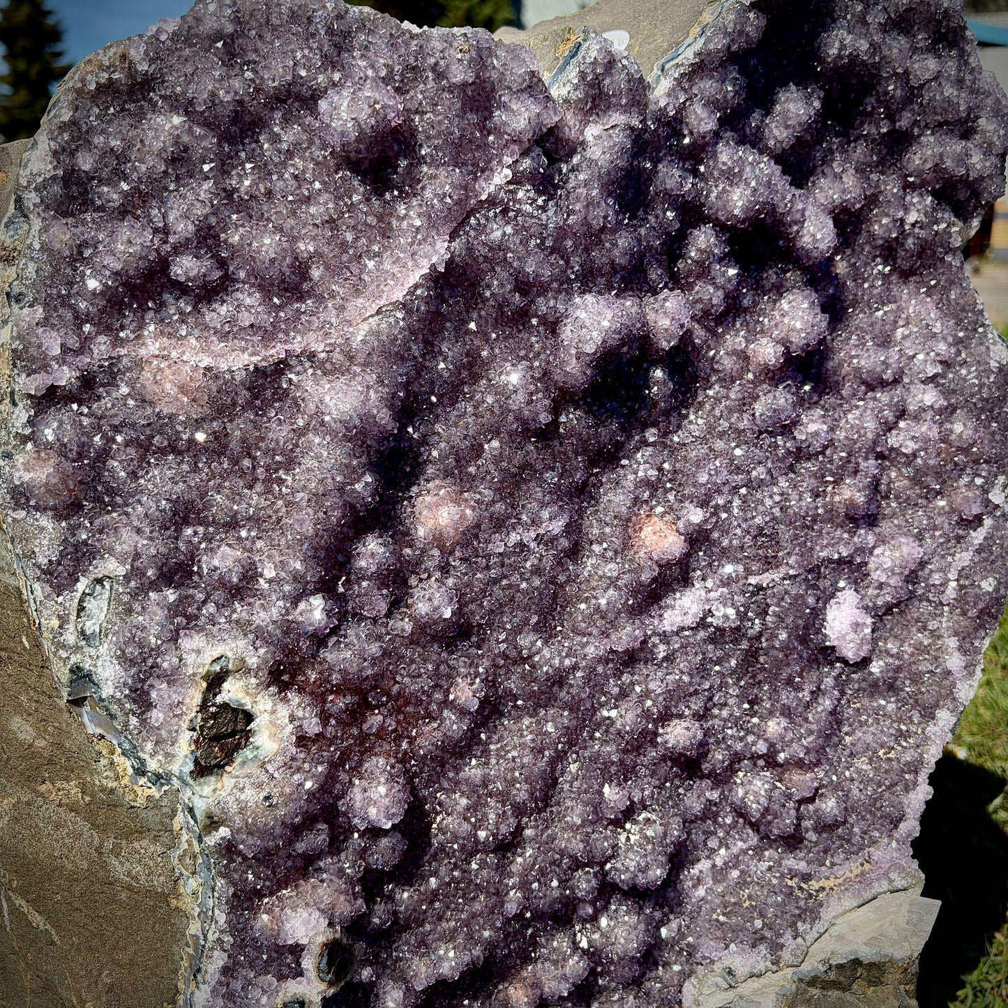 Extra Large Amethyst Crystal | Natural Basalt Back  (63.2kg)