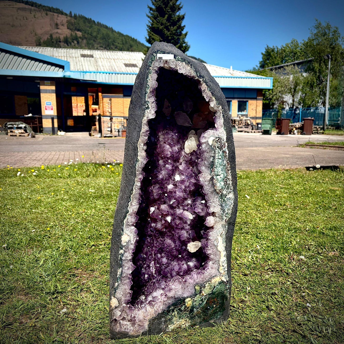Extra Large Amethyst Crystal Church | Dogtooth Calcite (71.4kg)
