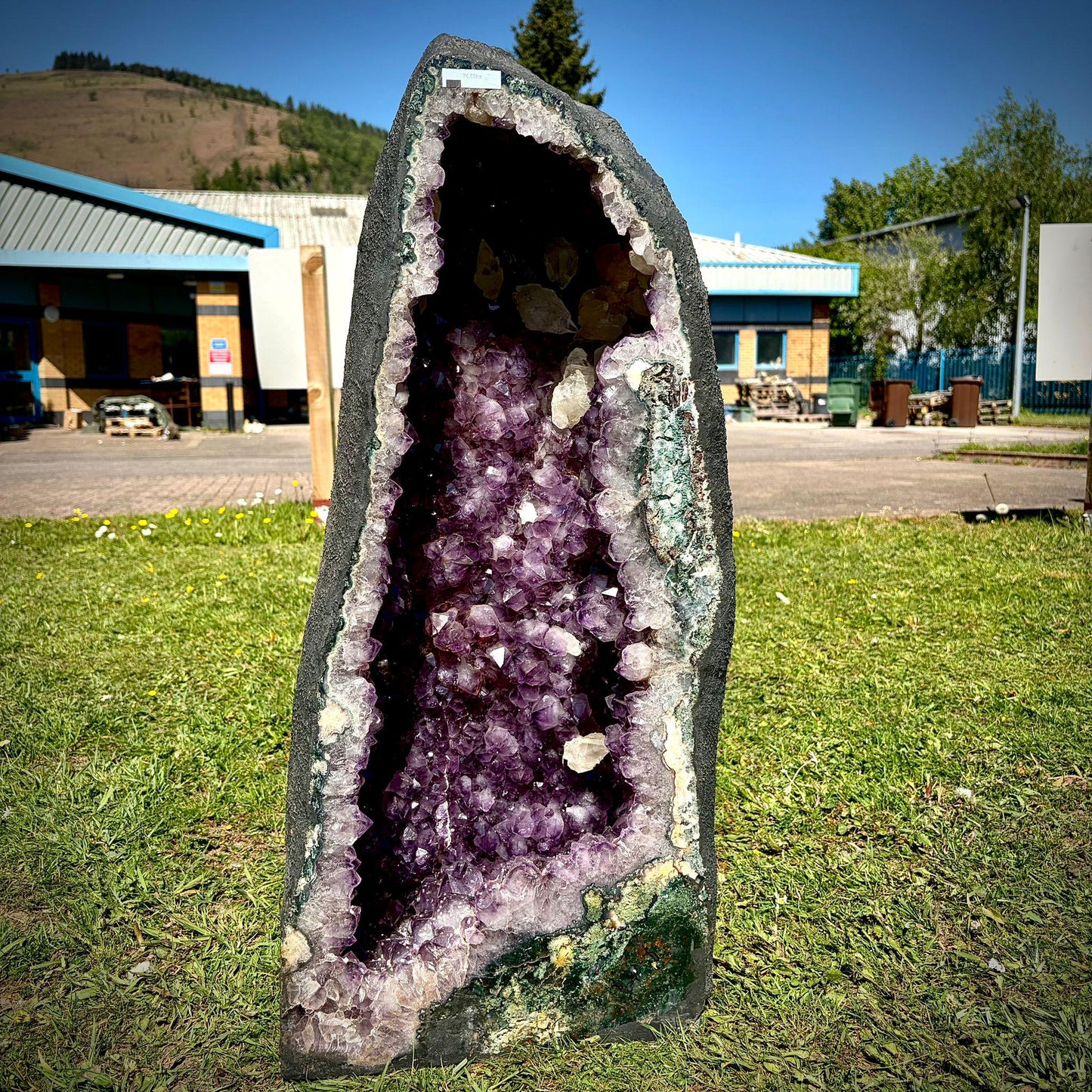 Extra Large Amethyst Crystal Church | Dogtooth Calcite (71.4kg)