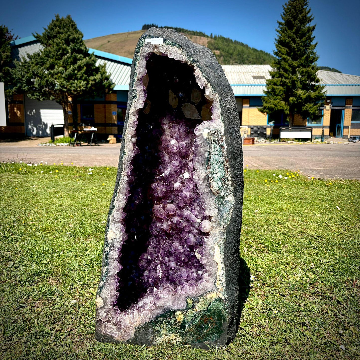 Extra Large Amethyst Crystal Church | Dogtooth Calcite (71.4kg)