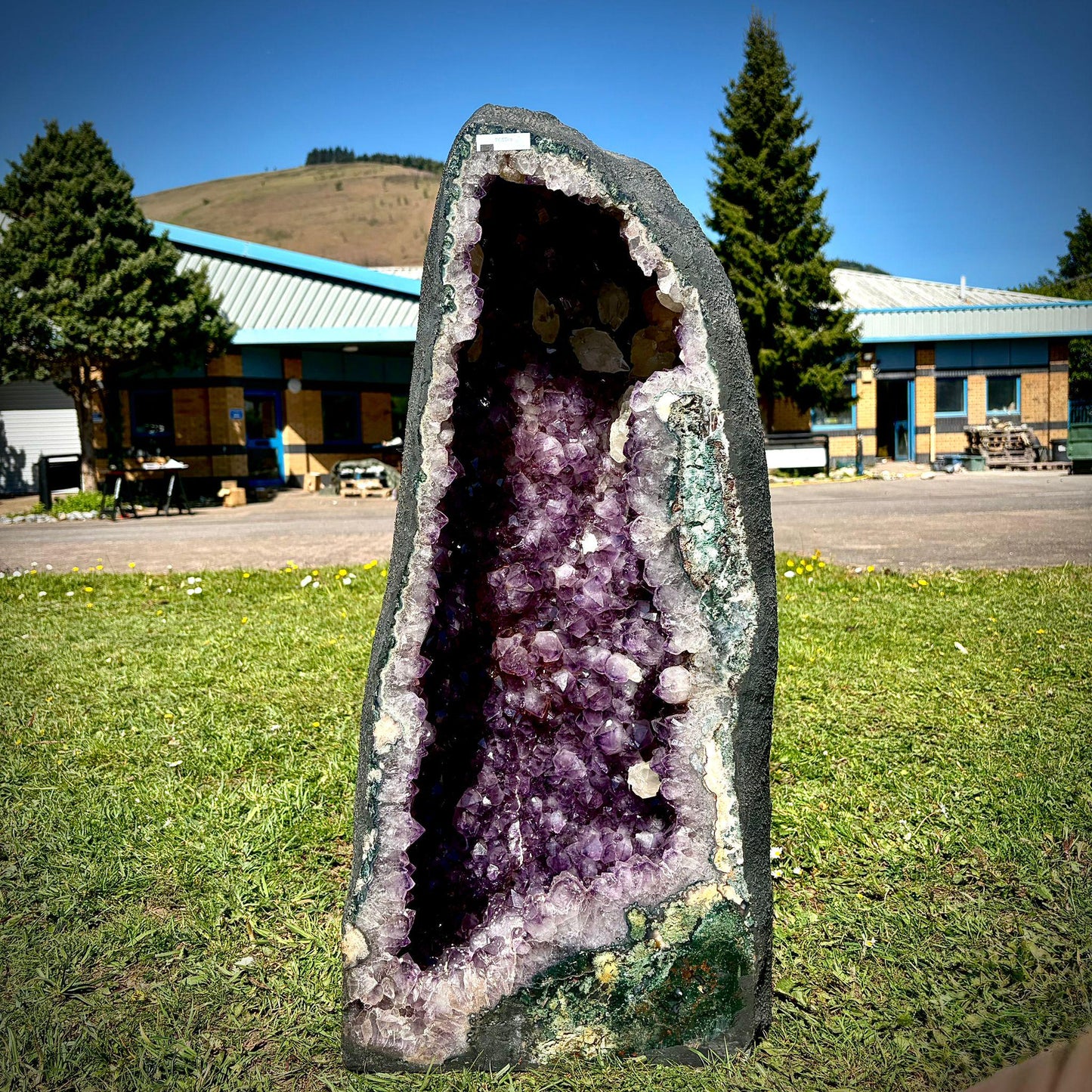 Extra Large Amethyst Crystal Church | Dogtooth Calcite (71.4kg)