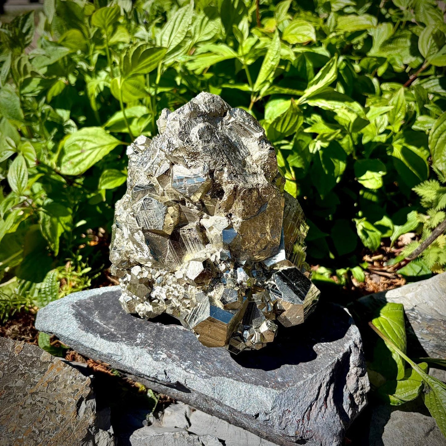 Large Pyrite Crystal Specimen #7 | Collectors Peruvian Pyrite | Fool’s Gold Mineral