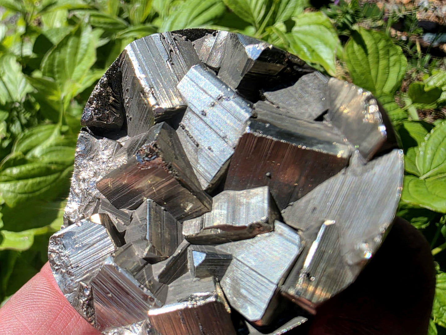 Pyrite Crystal Specimen #8 | Collectors Peruvian Pyrite | Fool’s Gold Mineral