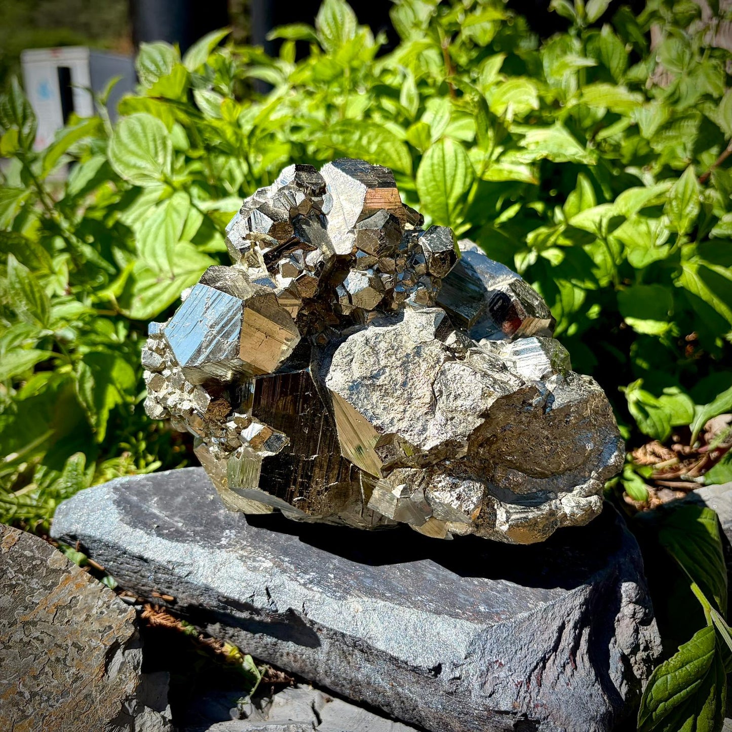 Large Pyrite Crystal Specimen #7 | Collectors Peruvian Pyrite | Fool’s Gold Mineral