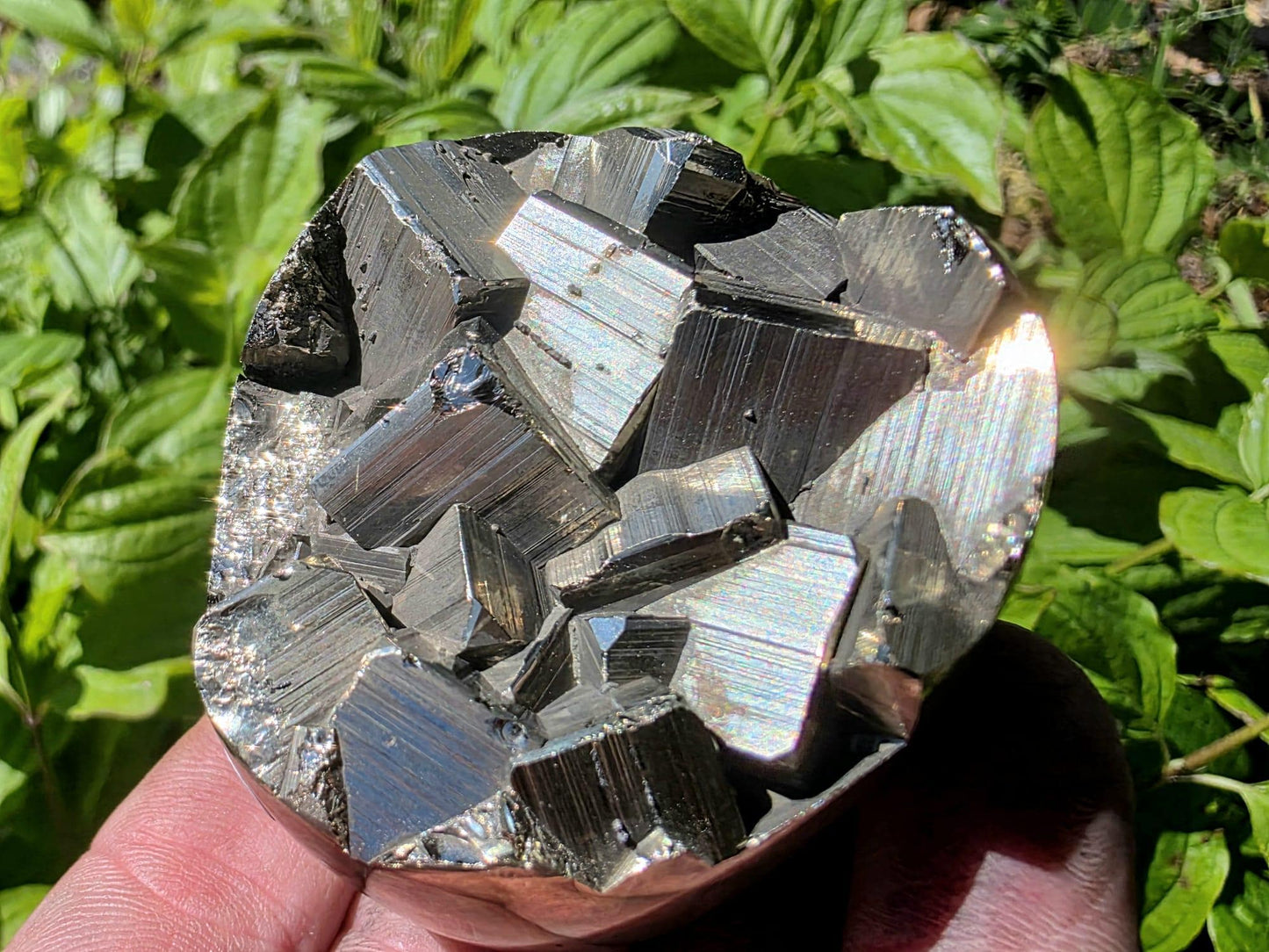 Pyrite Crystal Specimen #8 | Collectors Peruvian Pyrite | Fool’s Gold Mineral