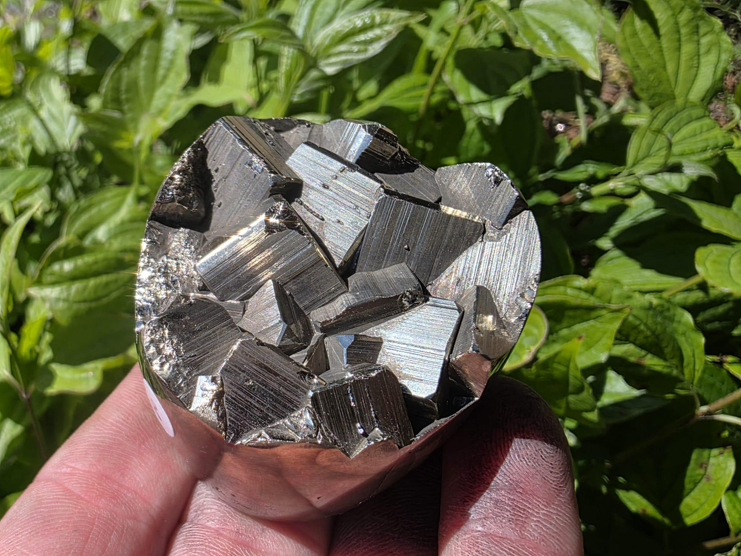 Pyrite Crystal Specimen #8 | Collectors Peruvian Pyrite | Fool’s Gold Mineral