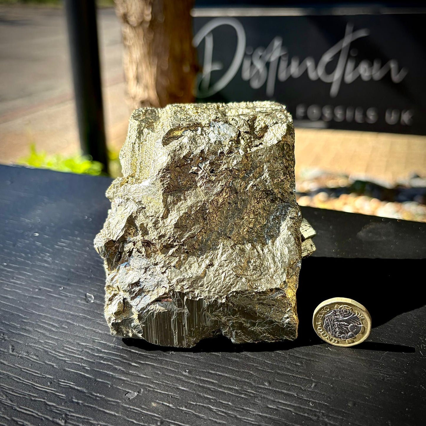 Pyrite Crystal Specimen #3 | Collectors Peruvian Pyrite | Fool’s Gold Mineral