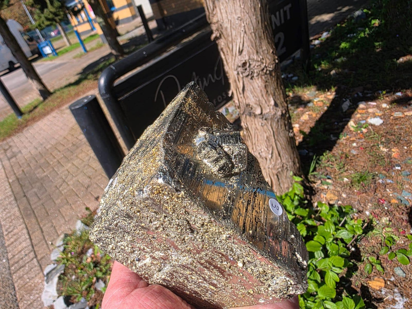 Pyrite Crystal Specimen #3 | Collectors Peruvian Pyrite | Fool’s Gold Mineral