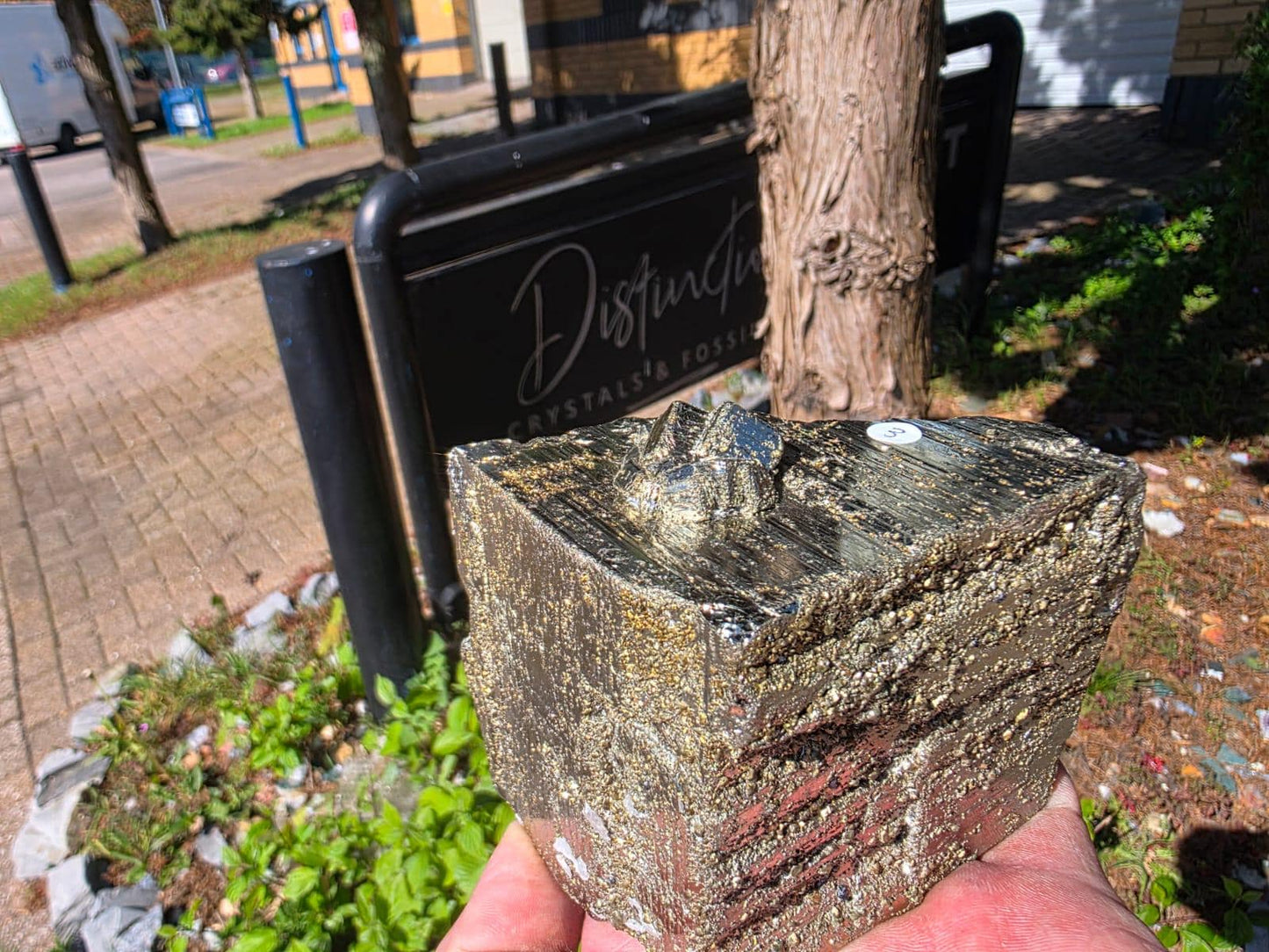 Pyrite Crystal Specimen #3 | Collectors Peruvian Pyrite | Fool’s Gold Mineral