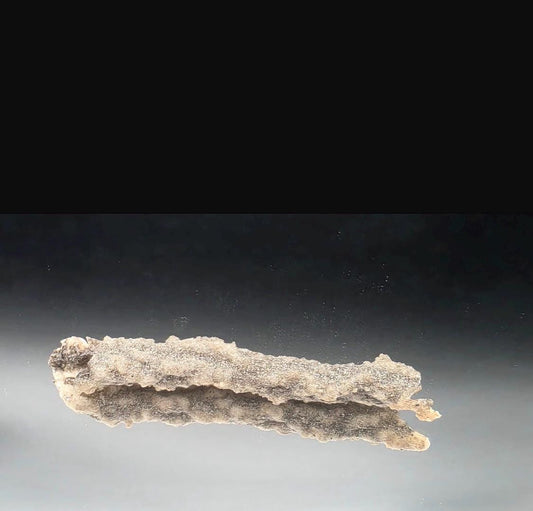 Fulgurite Specimen -  Petrified Lightning Stone from Algeria Desert #7