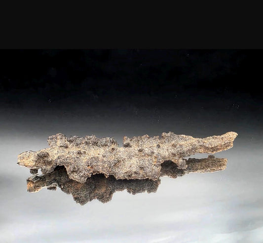 Fulgurite Specimen -  Petrified Lightning Stone from Algeria Desert #3