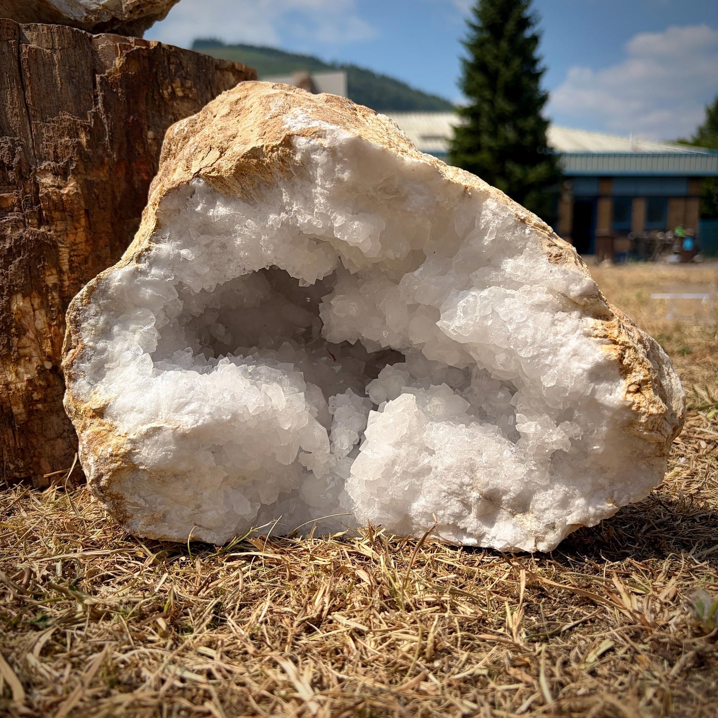 XL Quartz Crystal Geode Pair 13.6kg #5