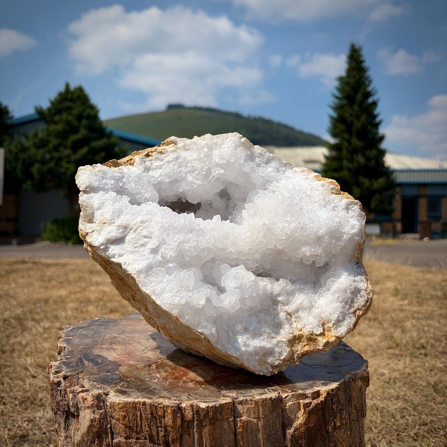 XL Quartz Crystal Geode Pair 13.6kg #5