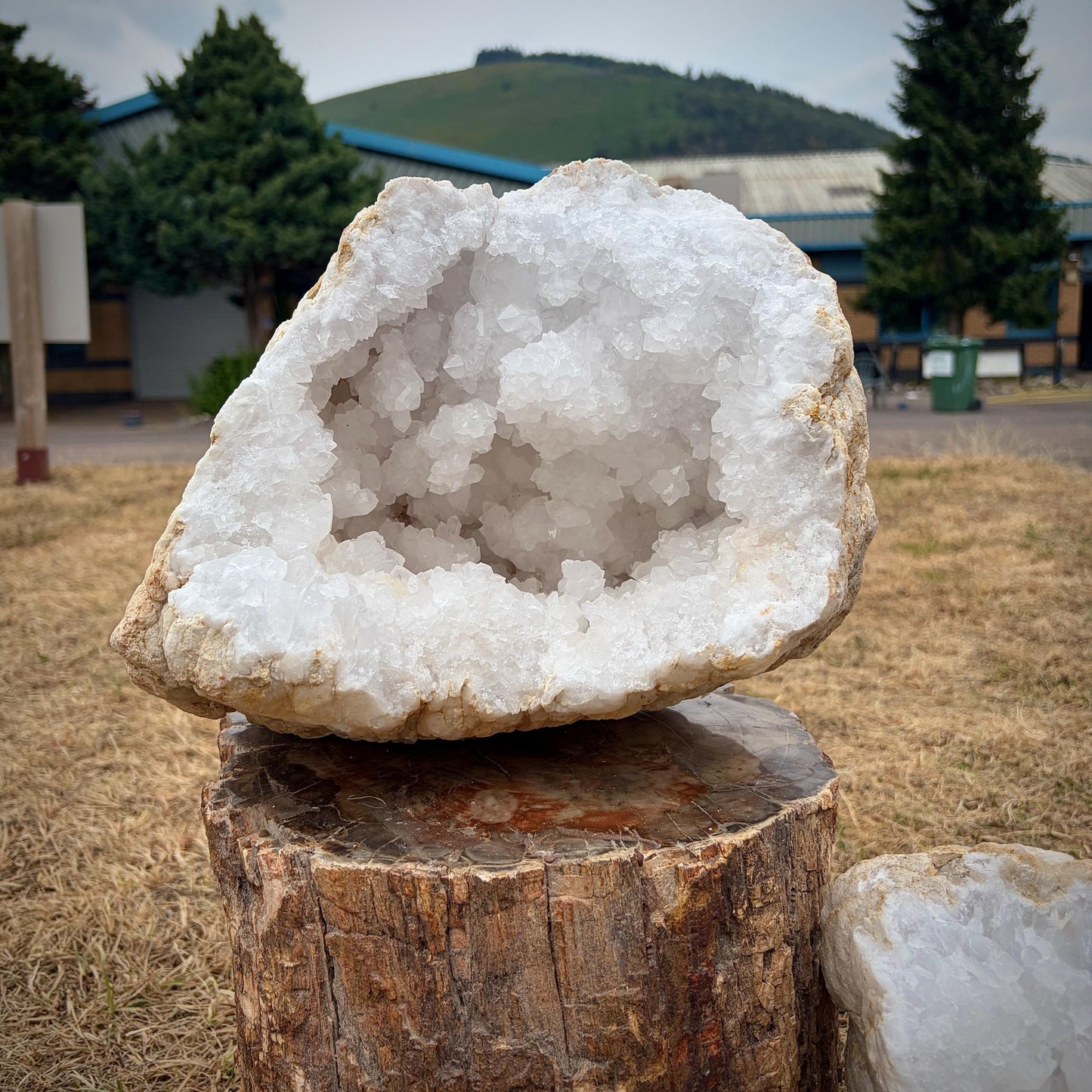 XL Quartz Crystal Geode Pair 21.6kg #3