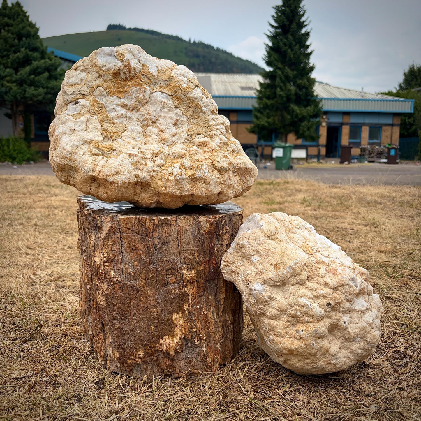 XL Quartz Crystal Geode Pair 21.6kg #3