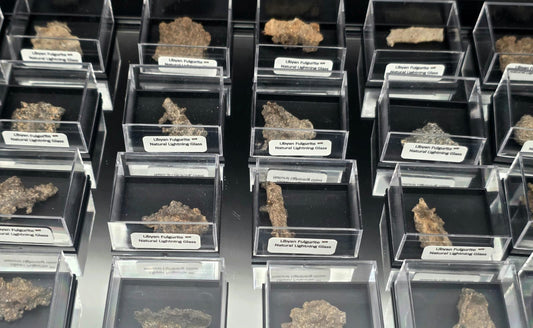 Small Fulgurite Collector Specimen in Display Case - Petrified Lightning Stone Glass from Libyan  Desert