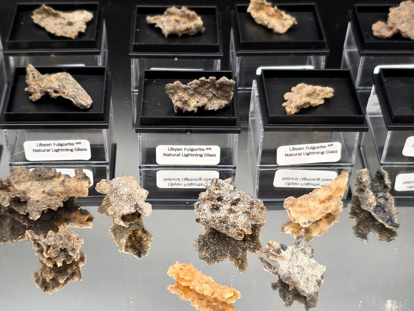 Small Fulgurite Collector Specimen in Display Case - Petrified Lightning Stone Glass from Algeria Desert