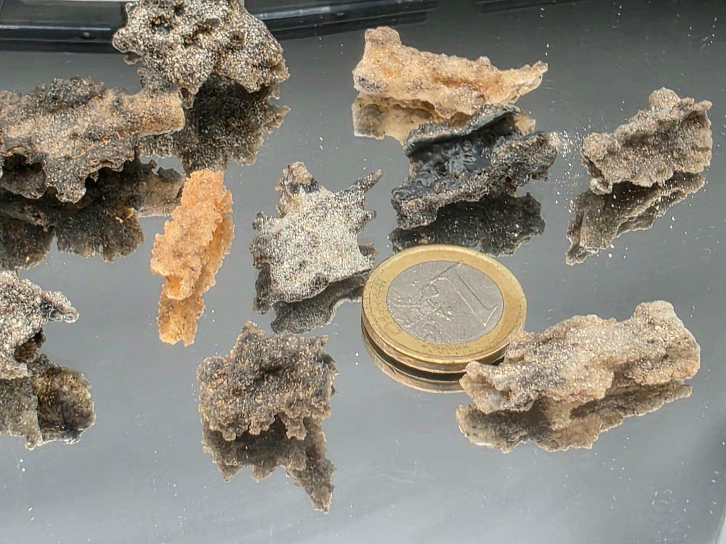 Small Fulgurite Collector Specimen in Display Case - Petrified Lightning Stone Glass from Algeria Desert