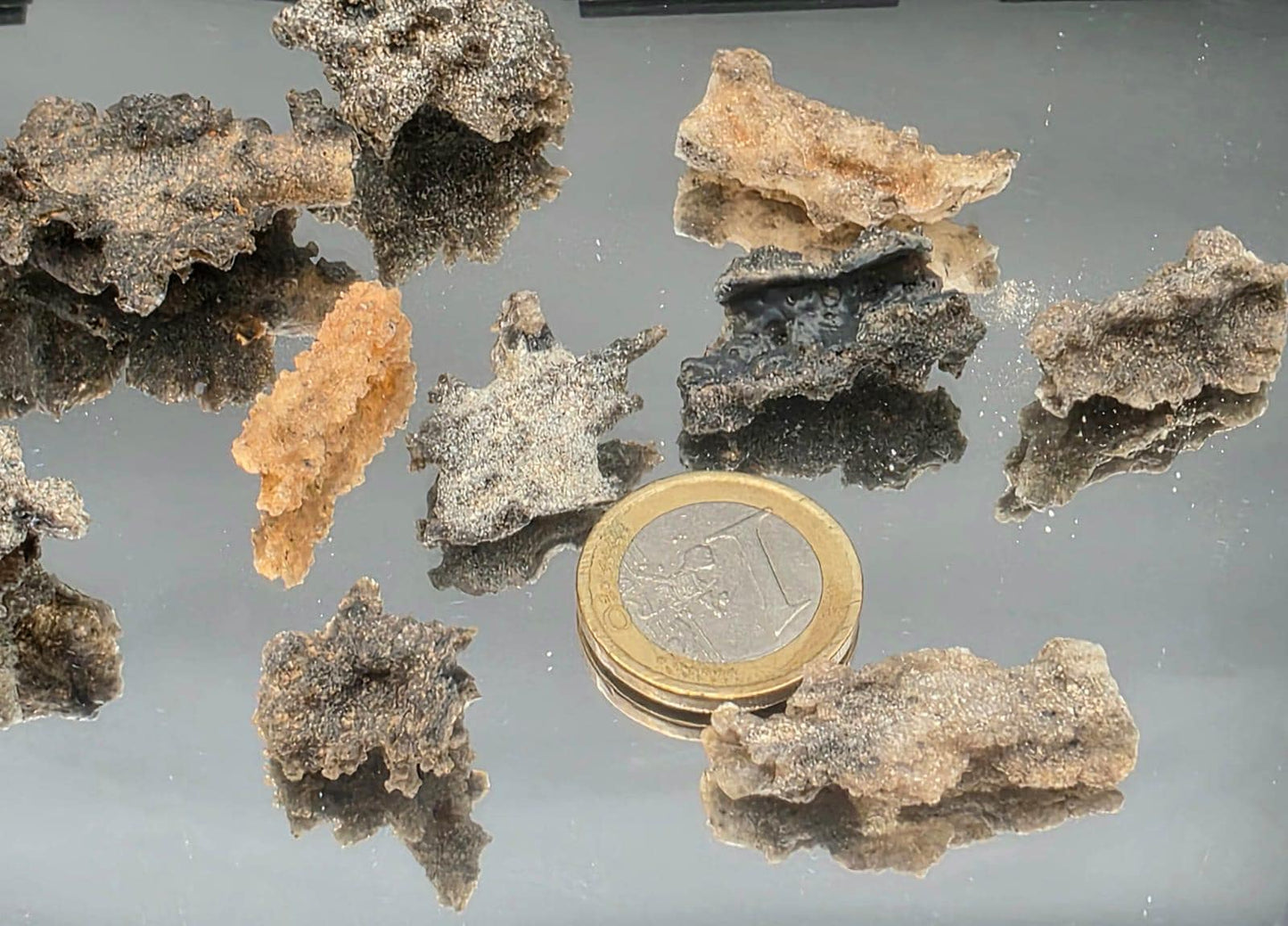 Small Fulgurite Collector Specimen in Display Case - Petrified Lightning Stone Glass from Algeria Desert